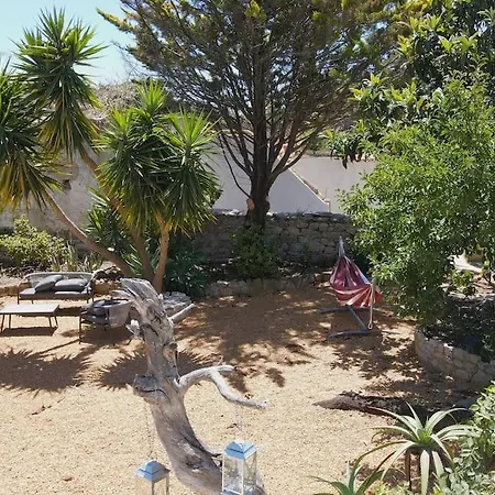 Lobo Algarve Santa Barbara de Nexe